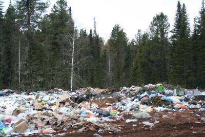 В Холмогорском районе под Архангельском лес завалили мусором и помоями