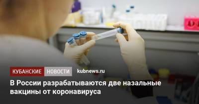 В России разрабатываются две назальные вакцины от коронавируса
