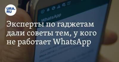 Эксперты по гаджетам дали советы тем, у кого не работает WhatsApp