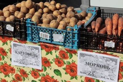 Овощные ярмарки в Брянске могут работать и в ноябре