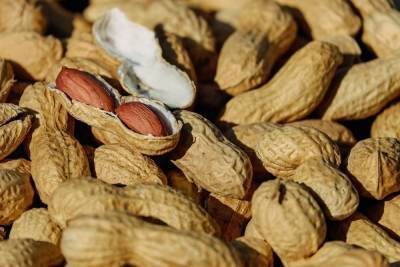 В Гарварде объяснили пользу арахиса: от холестерина и высокого сахара