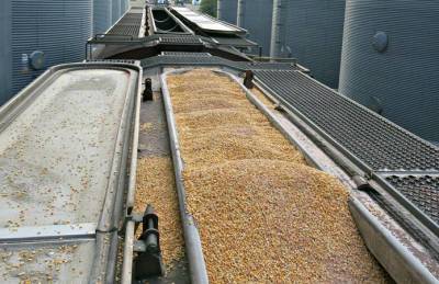 Перевозка зерна по железной дороге сокращает отставание