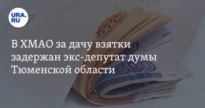 В ХМАО за дачу взятки задержан экс-депутат думы Тюменской области. Видео