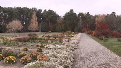 Осень и лето встретились в Ботаническом саду