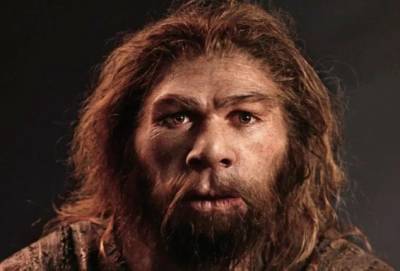 «Русский казак, переболевший рахитом»: что не так было с первым найденным черепом неандертальца - Русская семерка