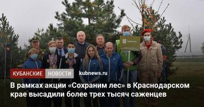 В рамках акции «Сохраним лес» в Краснодарском крае высадили более трех тысяч саженцев
