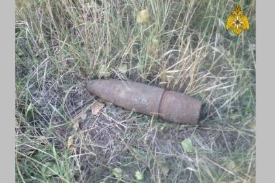 В брянском лесу нашли и обезвредили снаряд