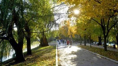 «Непривычно много солнца для октября»: синоптики рассказали о погоде в Москве в ближайшие выходные