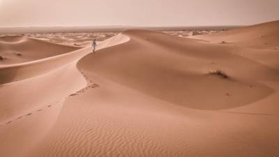 Ученые Кембриджского университета описали эффективный способ остановить движение песчаных дюн