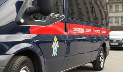 С 2014 года СК РФ расследует более 460 уголовных дел о преступлениях в Донбассе