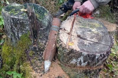 Артиллерийский снаряд в новгородской деревне нашли зажатым между двух пней