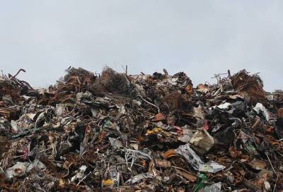 В Ленобласти конфисковали 19 машин во время рейдов против нелегальных перевозчиков мусора