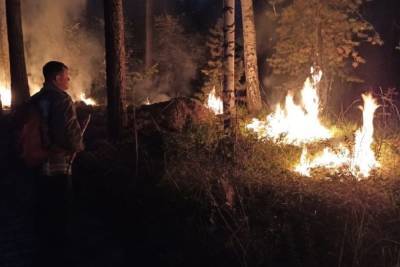 Особый противопожарный режим отменяется в Свердловской области