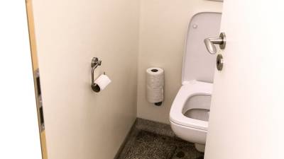 Насколько опасно садиться на унитаз в общественном туалете?