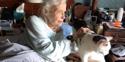 101-летняя бабушка горько оплакивала свою ушедшую на радугу кошку. Но выход нашли!