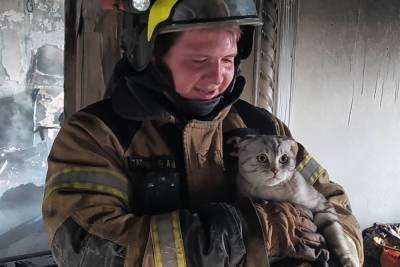 Пользователей соцсетей растрогало фото спасенного московскими пожарными кота