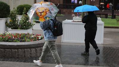 Синоптики рассказали о погоде в Москве 29 октября