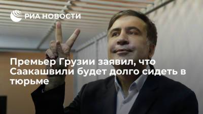 Премьер Грузии Гарибашвили: экс-президент Саакашвили будет долго сидеть в тюрьме