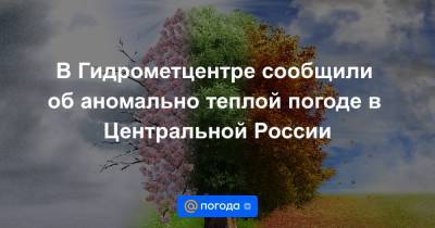 В Гидрометцентре сообщили об аномально теплой погоде в Центральной России