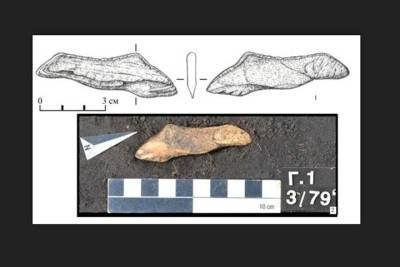 Археологи нашли статуэтку головы лося и височные кольца на раскопках в Новосибирской области