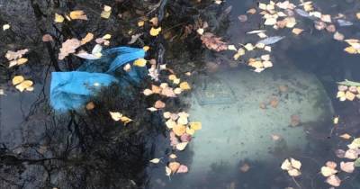 В московских прудах обнаружили затопленные мусорные баки