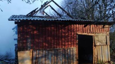В Беларуси за сутки при пожарах погибли три человека