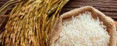Ученые на Хайнане вывели двухурожайный сорт риса и собрали порядка 24 тонн с гектара