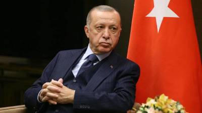 Эксперт объяснил решение Эрдогана отменить высылку послов 10 стран из Турции