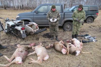 Группу браконьеров поймали в федеральном заказнике под Барабинском