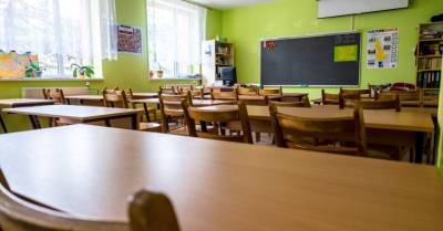 Минобразования предлагает ввести в школах "неделю удаленки"