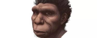 Ученые назвали новый вид предка человека Homo bodoensis