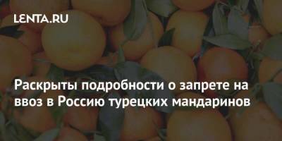 Раскрыты подробности о запрете на ввоз в Россию турецких мандаринов