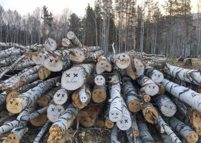 В Челябинске вырубят 200 деревьев рядом с кафедральным собором
