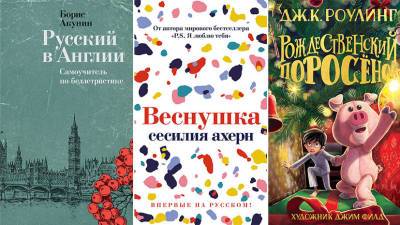 Самоучитель от Акунина, роман Ахерн и новая Роулинг: главные книги октября