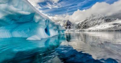 Лед и пламя: ученые рассказали о древних лесных пожарах в Антарктиде