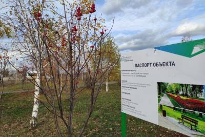 Более 200 дворов и общественных пространств благоустроили по нацпроекту «Жилье и городская среда» в Тамбовской области