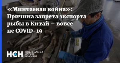 «Минтаевая война»: Причина запрета экспорта рыбы в Китай – вовсе не COVID-19