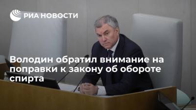 Спикер Госдумы Володин обратил внимание на поправки к закону об обороте спирта