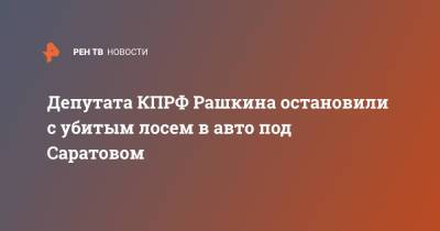 Депутата КПРФ Рашкина остановили с убитым лосем в авто под Саратовом