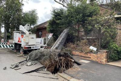 Сильный ветер в Австралии посрывал крыши, повалил деревья и оставил без света более 450 тысяч домов - unn.com.ua - Украина - Киев - Австралия - Мельбурн - Аделаида
