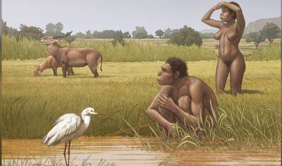 Обнаружен еще один предок современного человека – Homo bodoensis