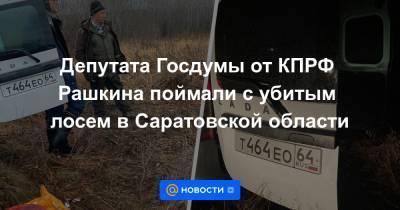 Депутата Госдумы от КПРФ Рашкина поймали с убитым лосем в Саратовской области