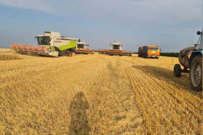 Лебедянские фермеры оценили материальный ущерб от захвата их полей липецким агрохолдингом в 60,5 млн рублей