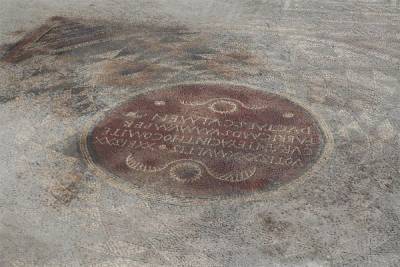 Мозаика позднего римского периода была обнаружена в Турции