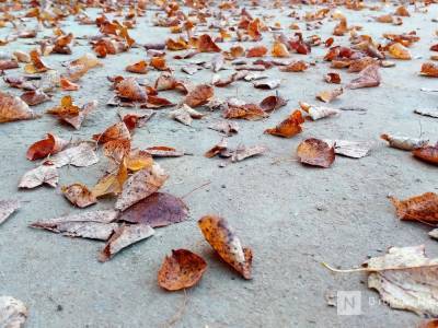 Ноябрь в Нижегородской области ожидается теплым