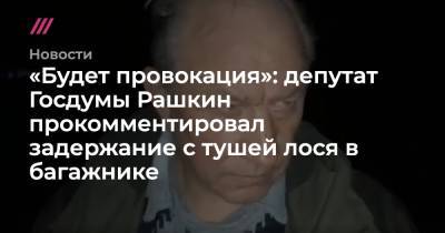 «Будет провокация»: депутат Госдумы Рашкин прокомментировал задержание с тушей лося в багажнике