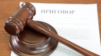 Суд приговорил к пяти годам колонии блогера Пыжа по делу о распространении гостайны