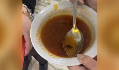 Студенты УГАТУ нашли таракана в супе из столовой и получили порцию из той же кастрюли
