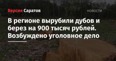 В регионе вырубили дубов и берез на 900 тысяч рублей. Возбуждено уголовное дело
