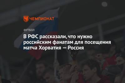 В РФС рассказали, что нужно российским фанатам для посещения матча Хорватия — Россия